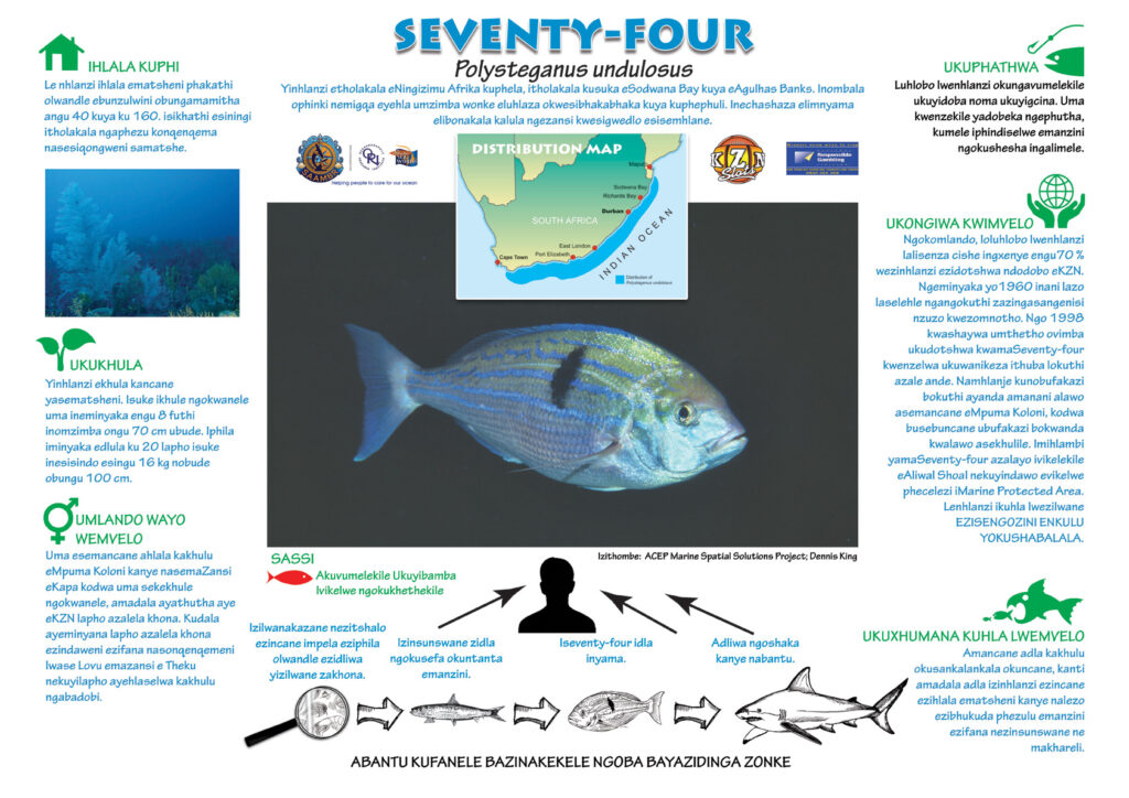 Marine Species Posters – SAAMBR