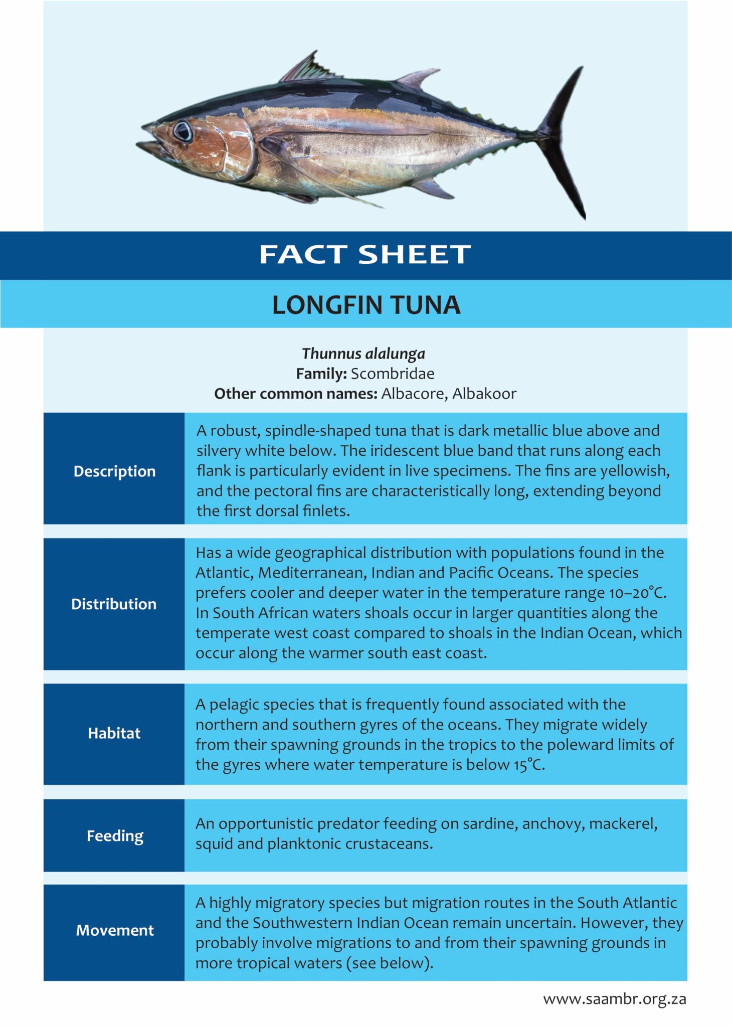 Longfin Tuna – SAAMBR