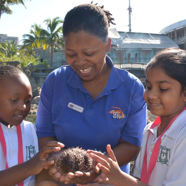 volunteer-animal-health-saambr-ori-ushaka-sea-world-rehabilitation-ocean-research-durban-kzn-south-africa volunteer-animal-health-saambr-ori-ushaka-sea-world-rehabilitation-ocean-research-durban-kzn-south-africa
